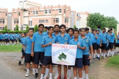 Vanmahotsav-being-celebrated-by-planting-trees-in-middle-section